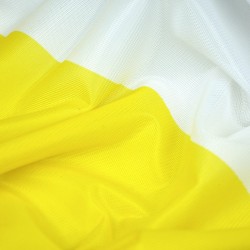 Flaga Papieska